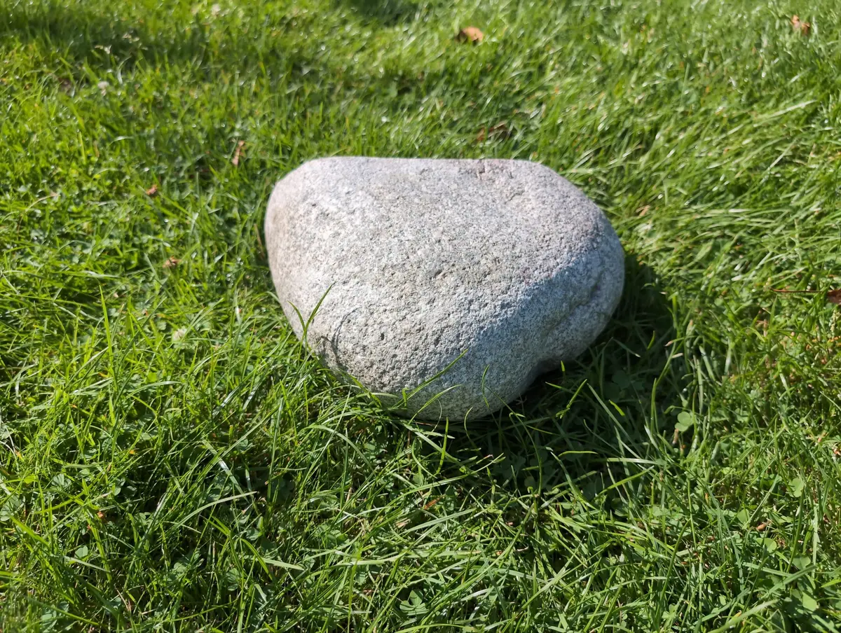 #58 głaz - pomnik dla psa