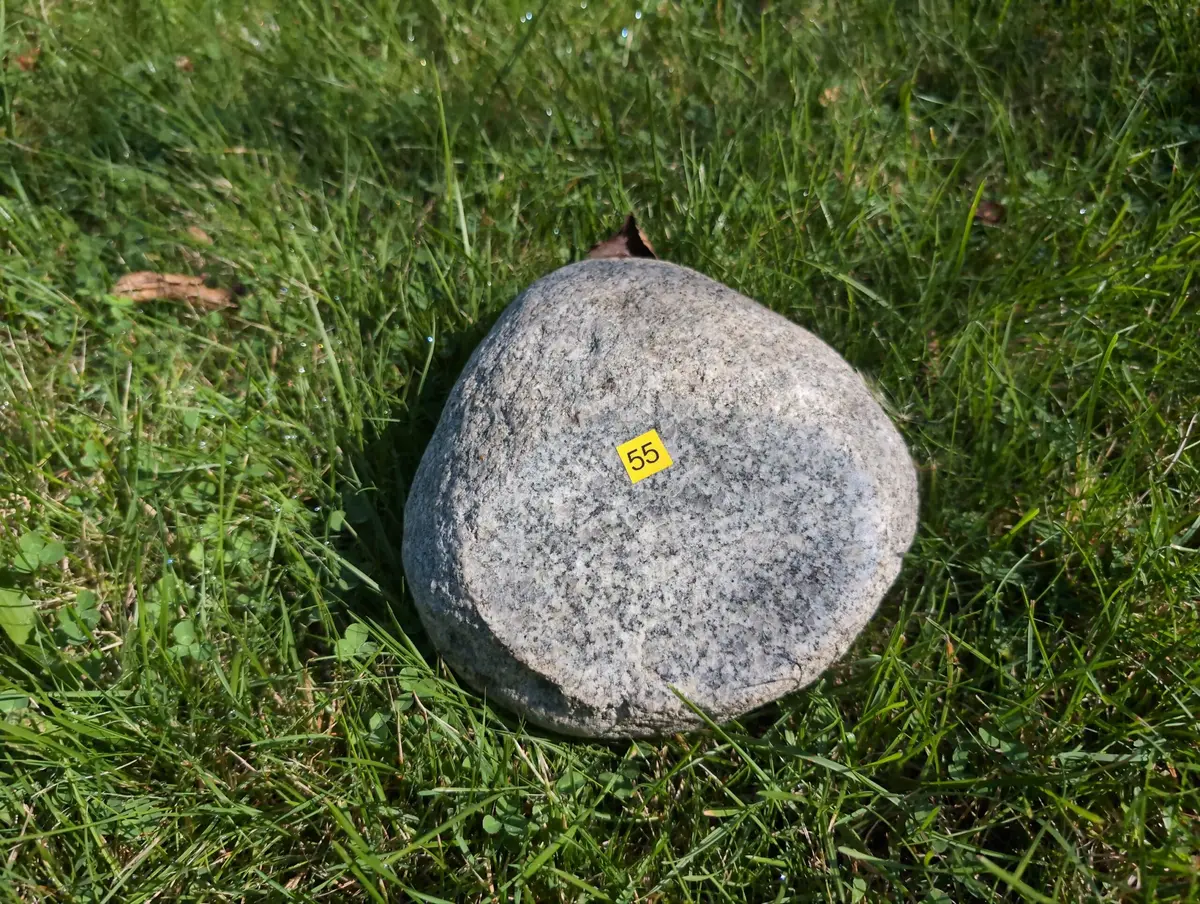 #55 maly Głaz - pomnik dla psa lub kota