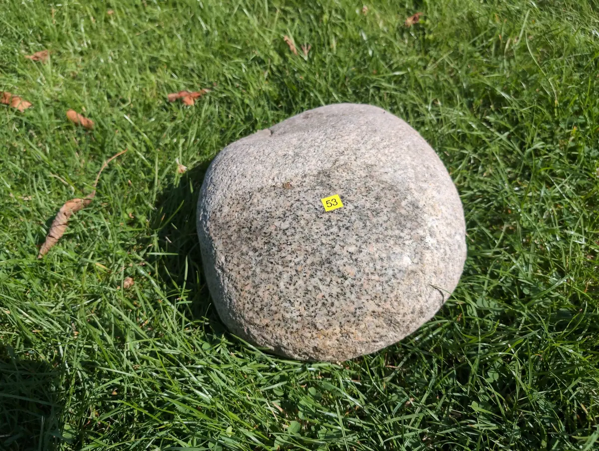 #53 głaz - pomnik dla psa