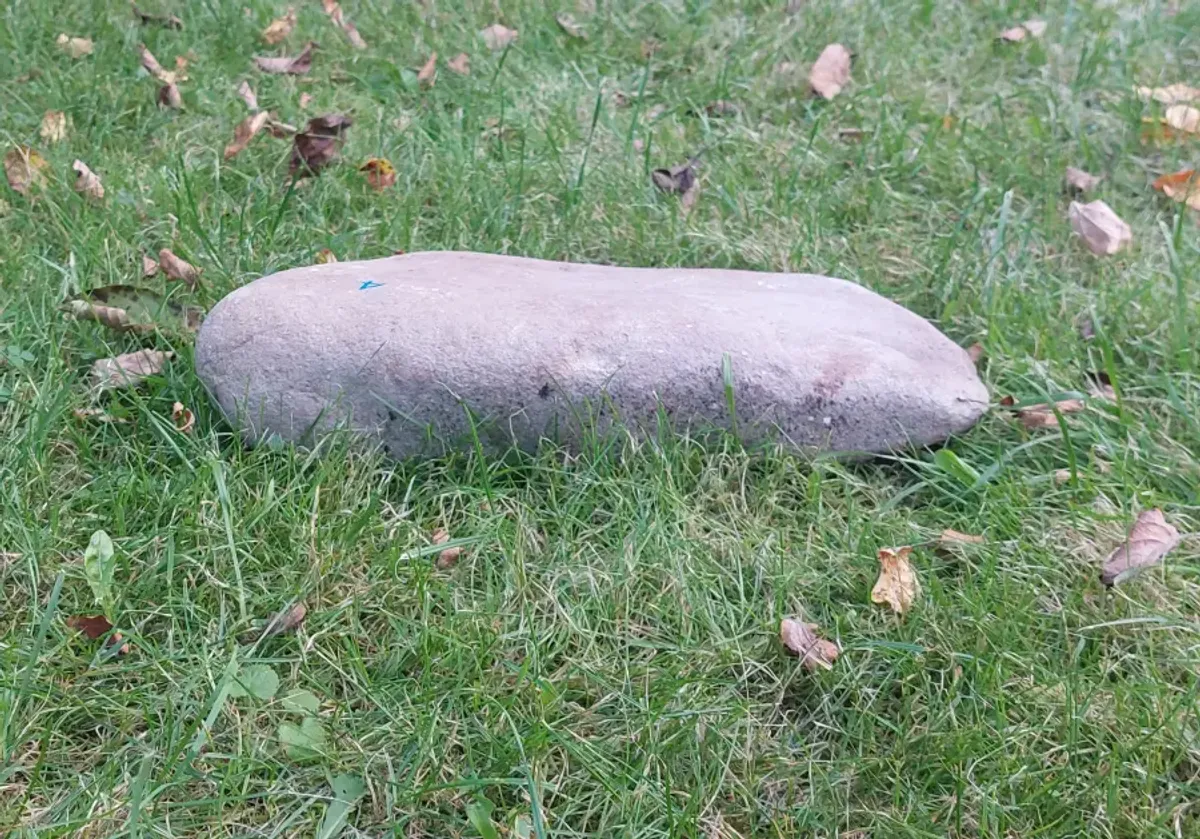 #04 Średni Głaz - pomnik dla psa lub kota