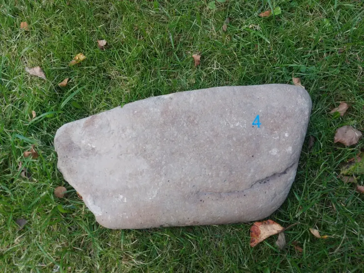 #04 Średni Głaz - pomnik dla psa lub kota