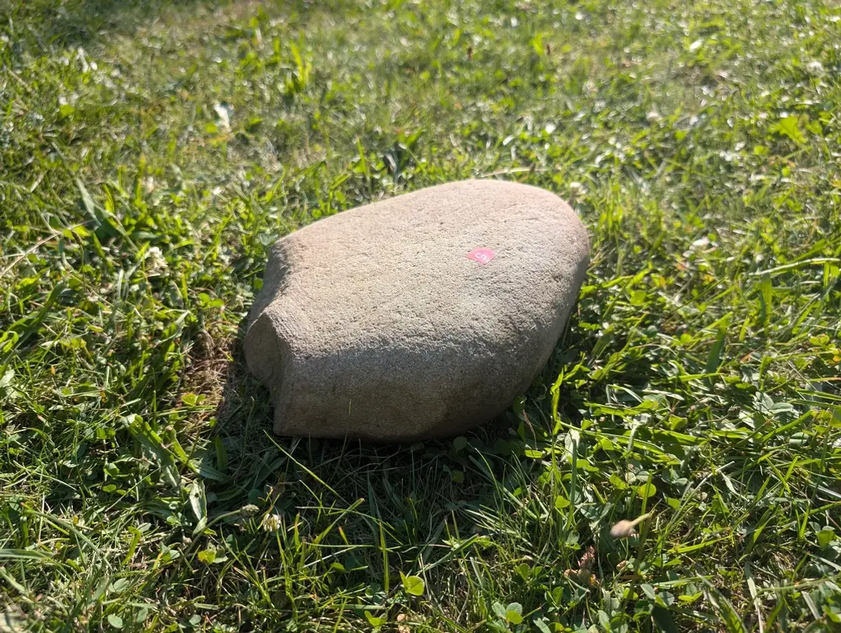 #05 Średni Głaz - pomnik dla psa lub kota (Kopia)