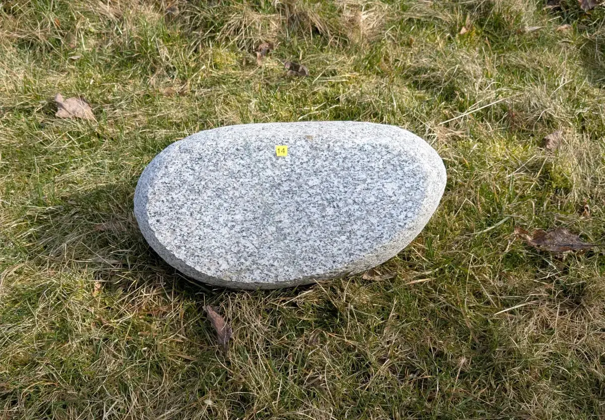 #14 Głaz Pamiątkowy – Naturalny Pomnik dla Psa