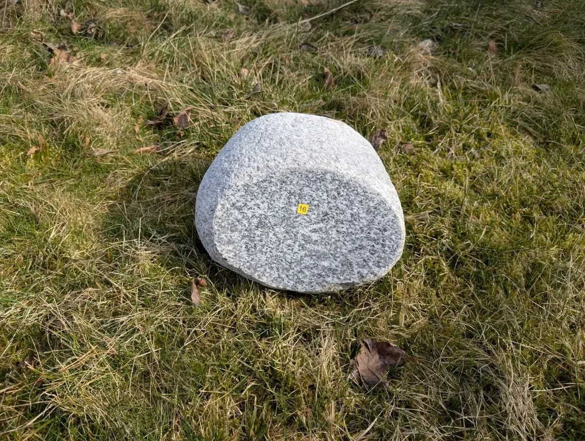 #16 Głaz Pamiątkowy - Naturalny Pomnik dla Psa