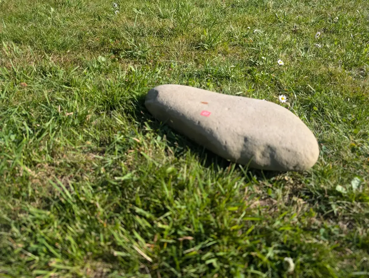 #22 Średni Głaz - pomnik dla psa lub kota (Kopia)