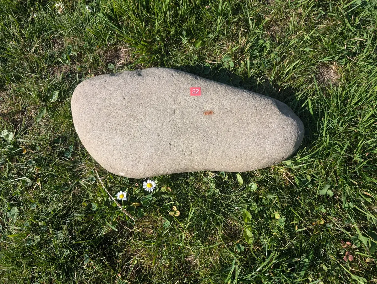 #22 Średni Głaz - pomnik dla psa lub kota (Kopia)