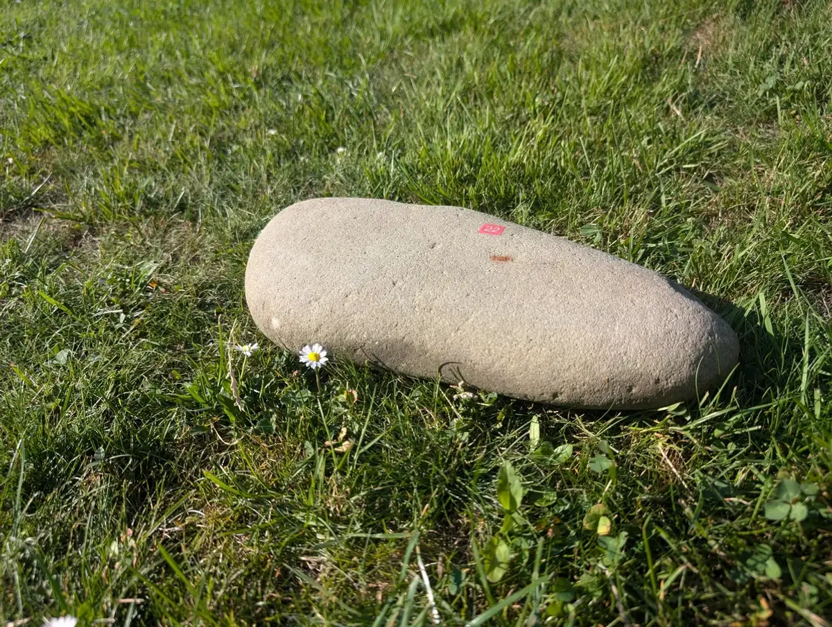 #22 Średni Głaz - pomnik dla psa lub kota (Kopia)