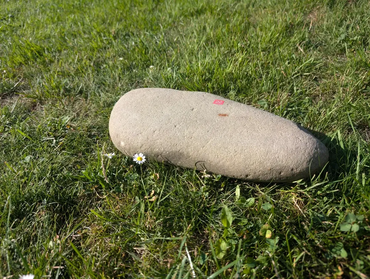 #22 Średni Głaz - pomnik dla psa lub kota (Kopia)