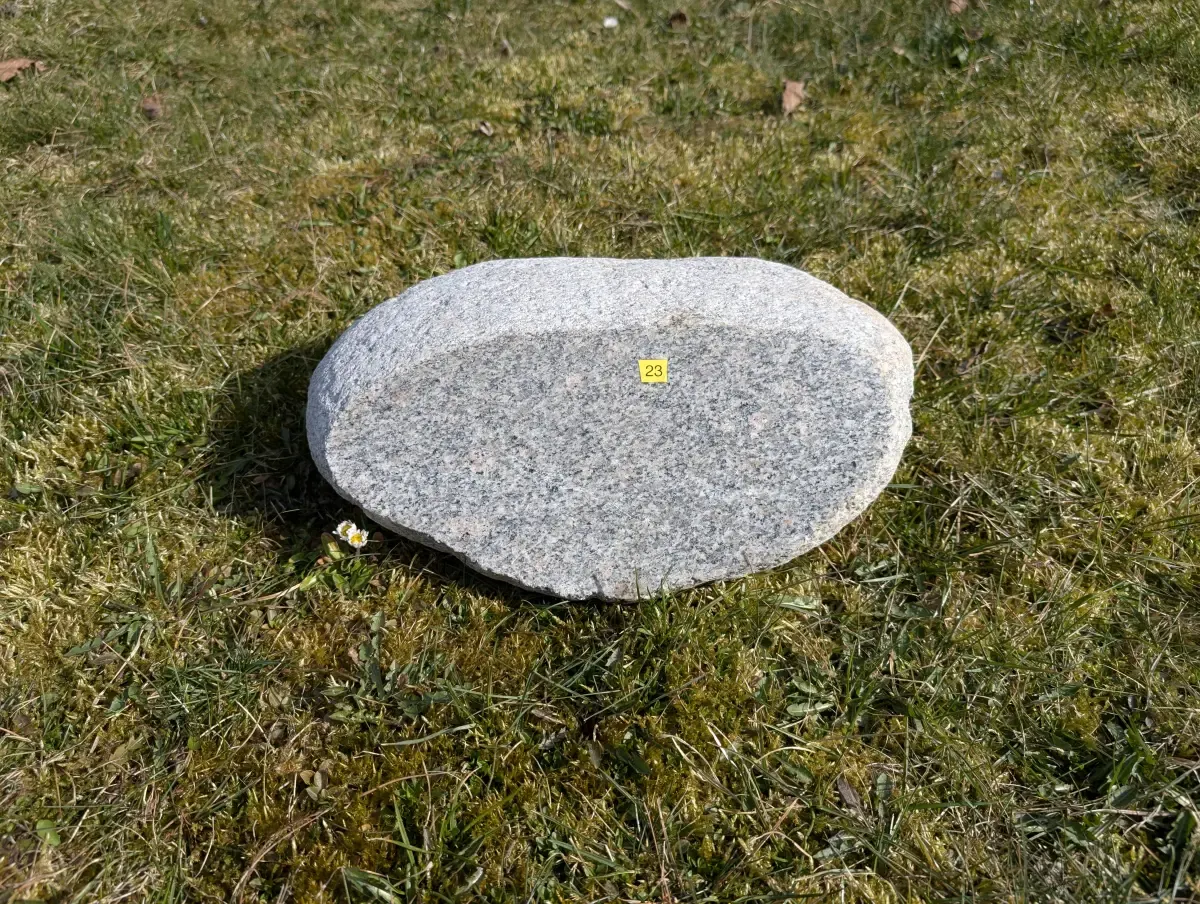#23 głaz - pomnik dla psa