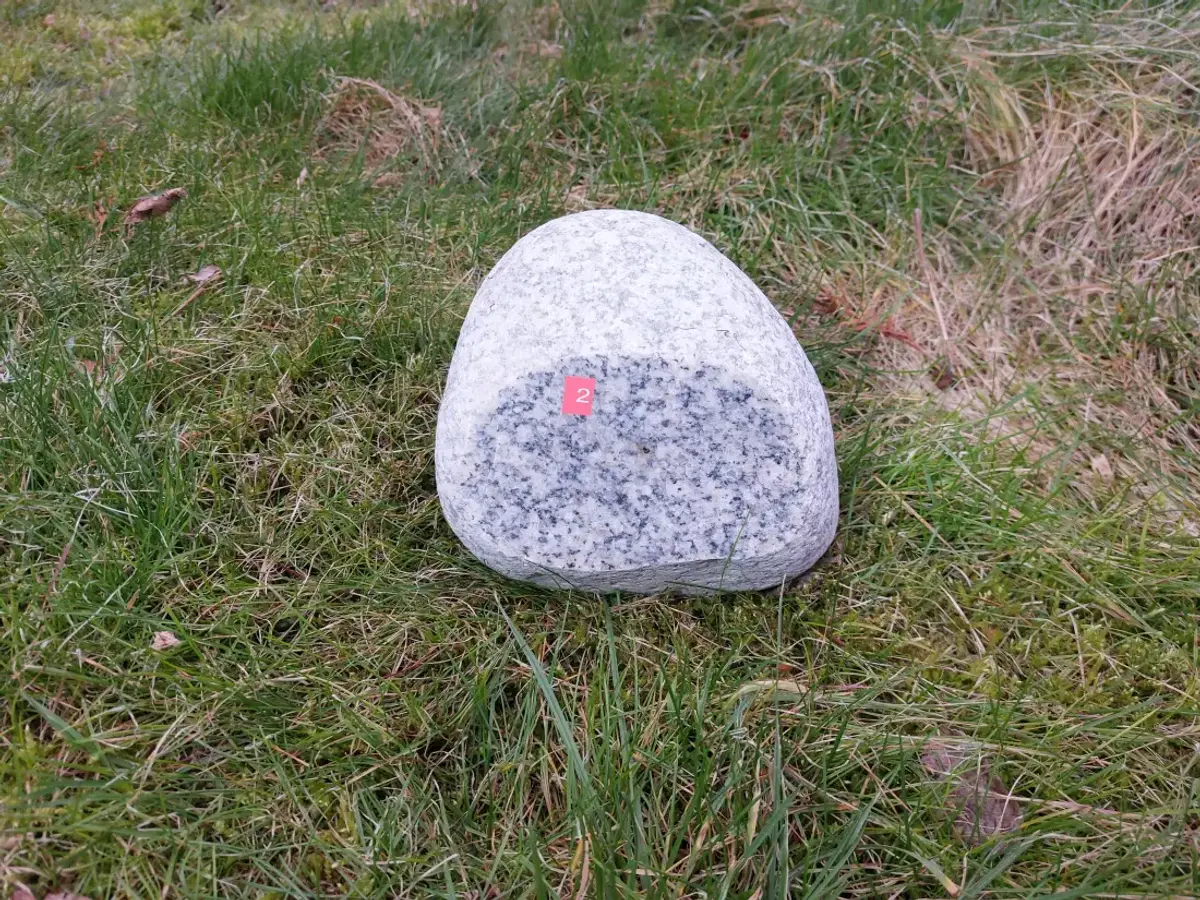 #02 Głaz - pomnik dla psa