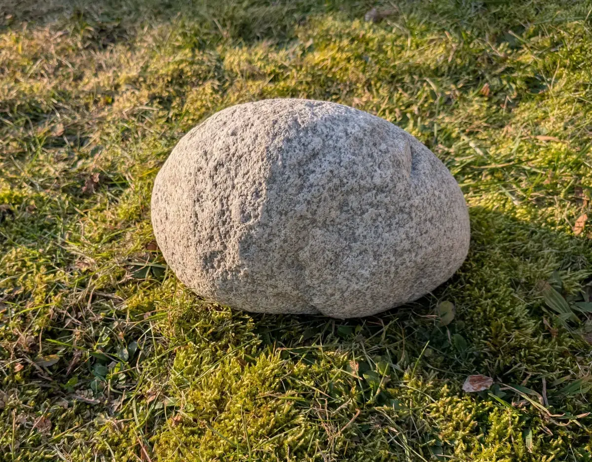 #31 Głaz - pomnik dla psa