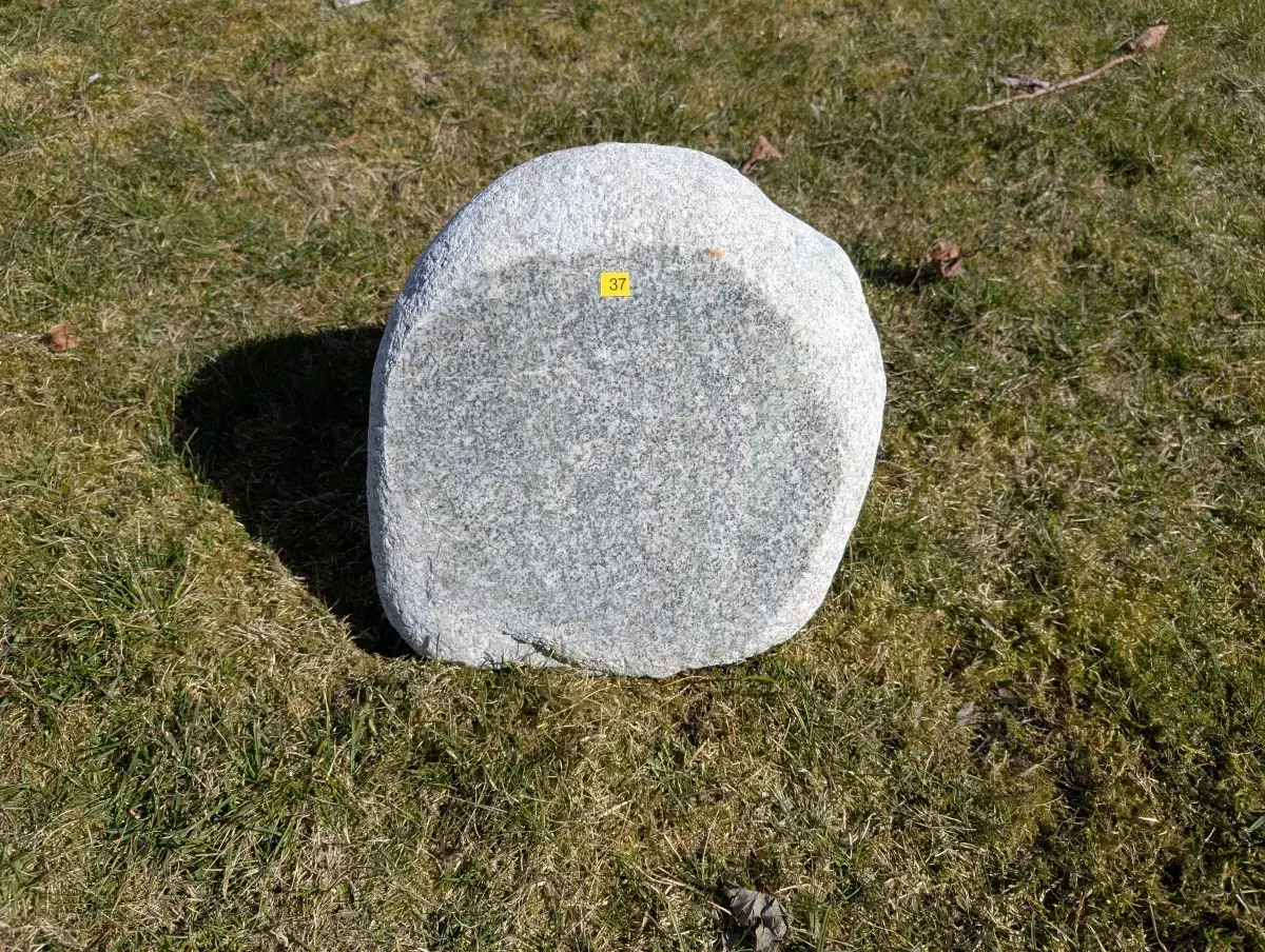 #37 głaz - pomnik dla psa