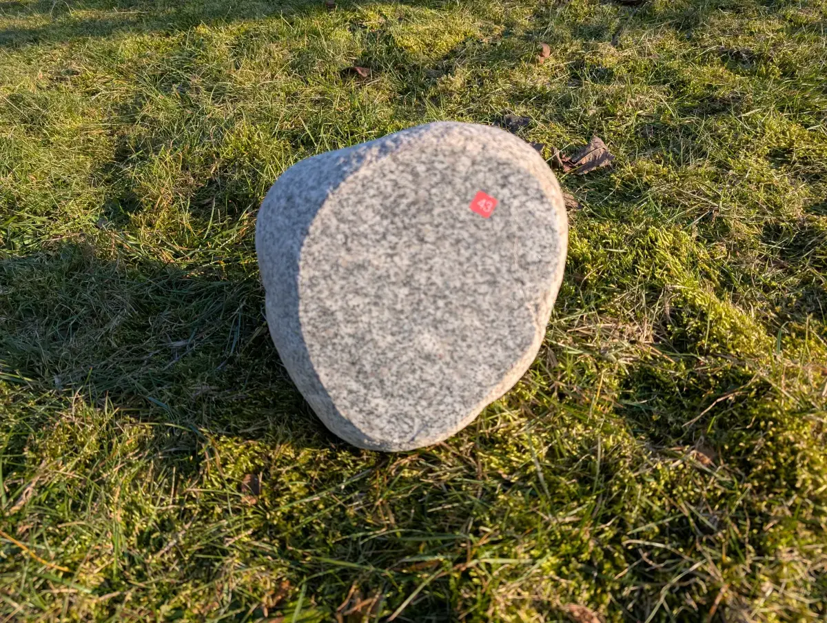 #43 głaz - pomnik dla psa