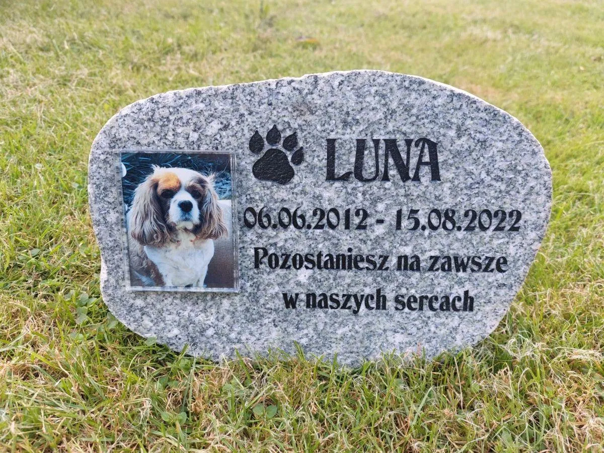 Zdjęcie wypalone w fotokrysztale 9x12 cm