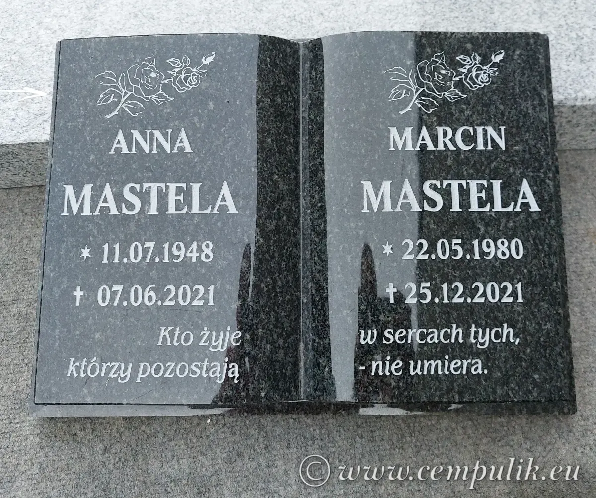 książka granitowa impala anna