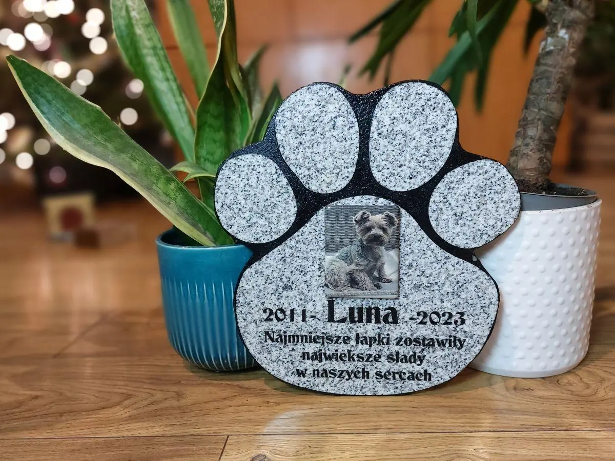 Szary nagrobek dla psa w kształcie łapy