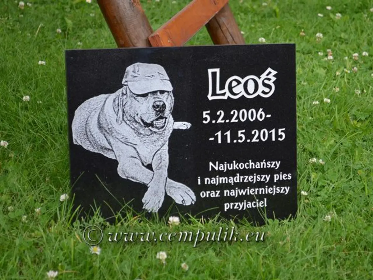 Granit-Gedenktafel mit Porträt und Inschrift 35×25