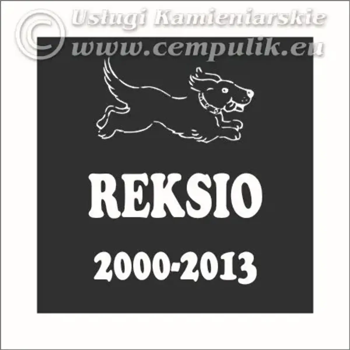 Płyta granitowa z napisem i grafiką kość (wzór p6)