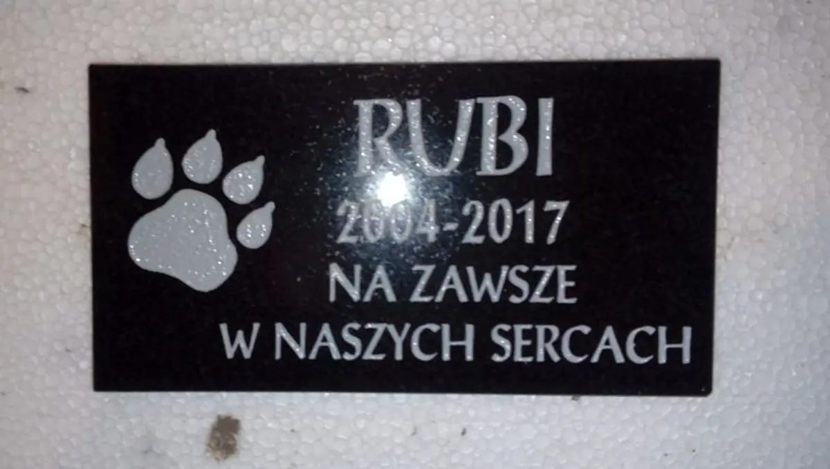 Płyta nagrobna dla zwierzaka (wzór p8) - z napisem i łapą