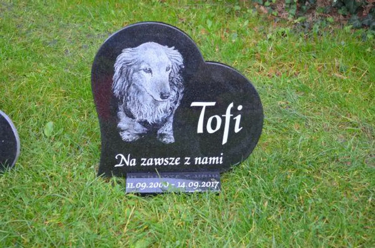 pochylone serce z grawerem psa.