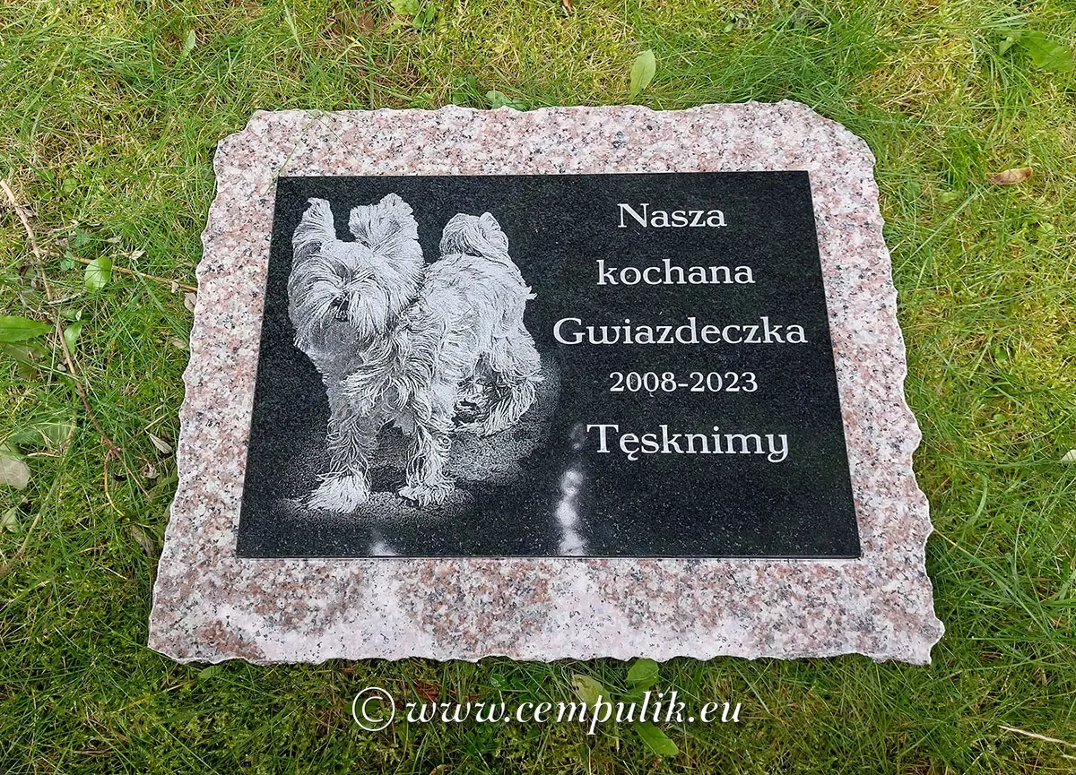 Nagrobek dla zwierzęcia na czarnym granicie i brązowym tle