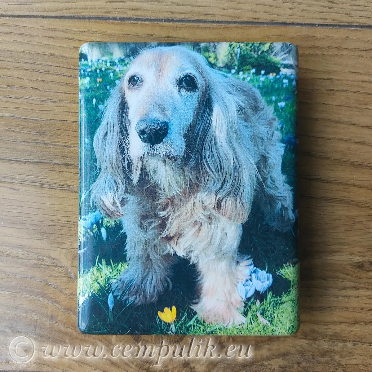 Zdjęcie porcelanowe 9x12