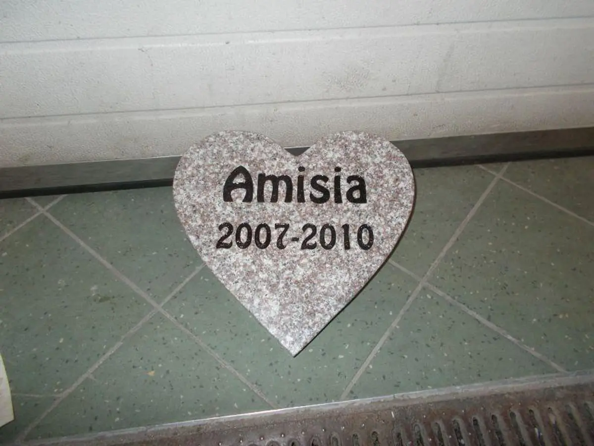 Serce brązowe z podstawką (30mm grubości)