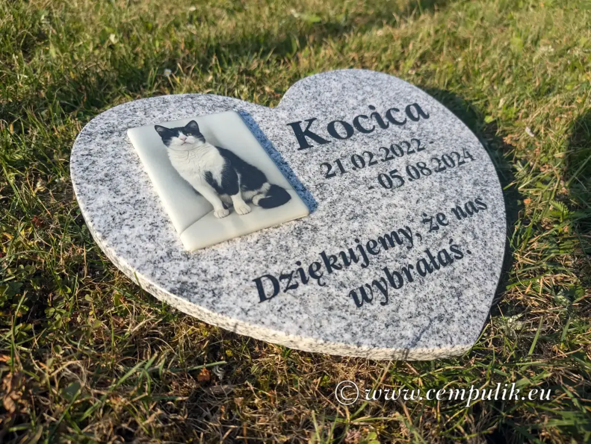 nagrobek dla kota na jasnoszarym granicie ze zdjęciem porcelanowym -widok pod skosem