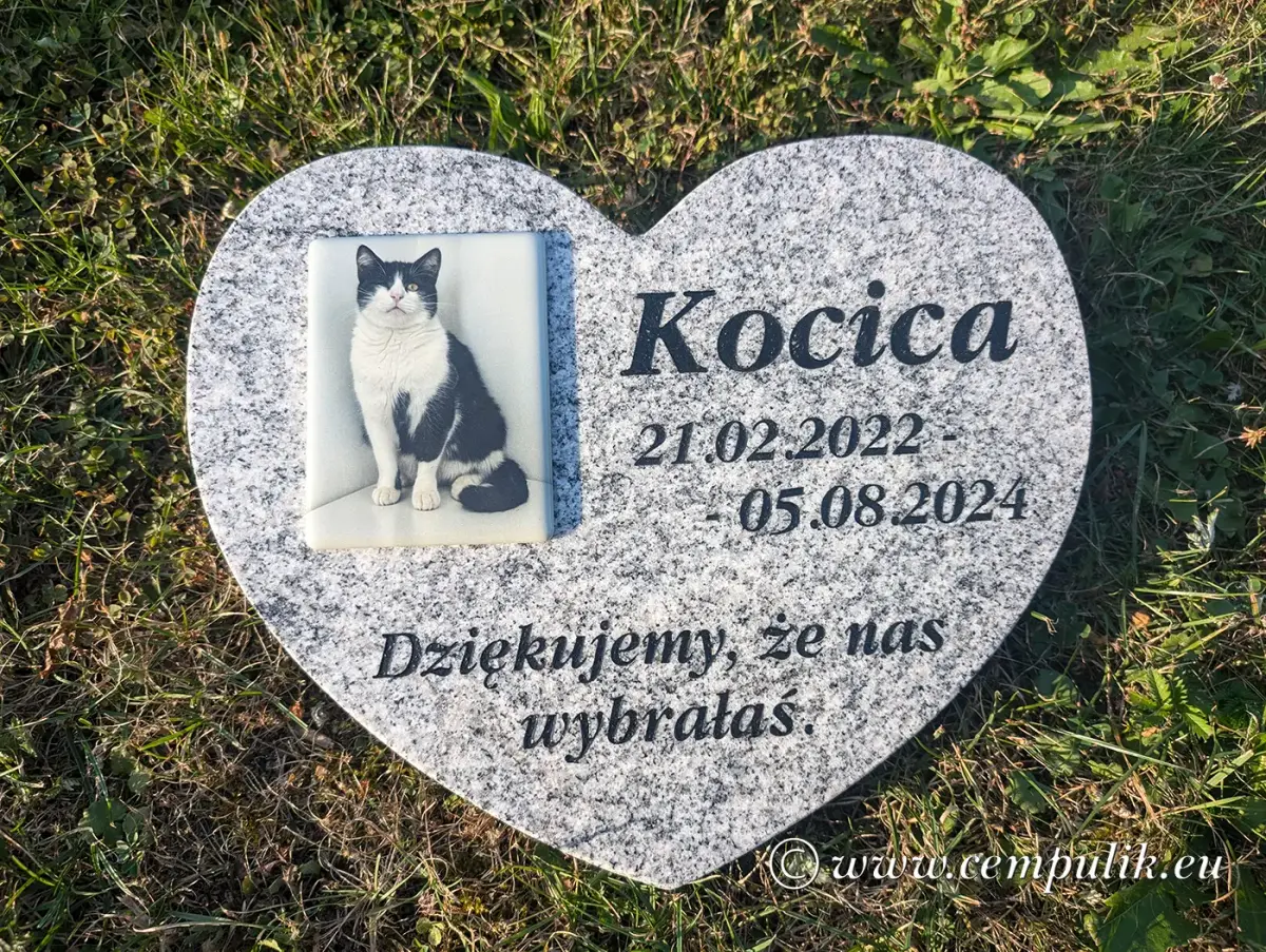 nagrobek dla kota na jasnoszarym granicie ze zdjęciem porcelanowym