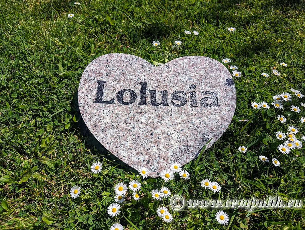 Brown-Toned Granite Heart – A Lasting Tribute to Your Pet