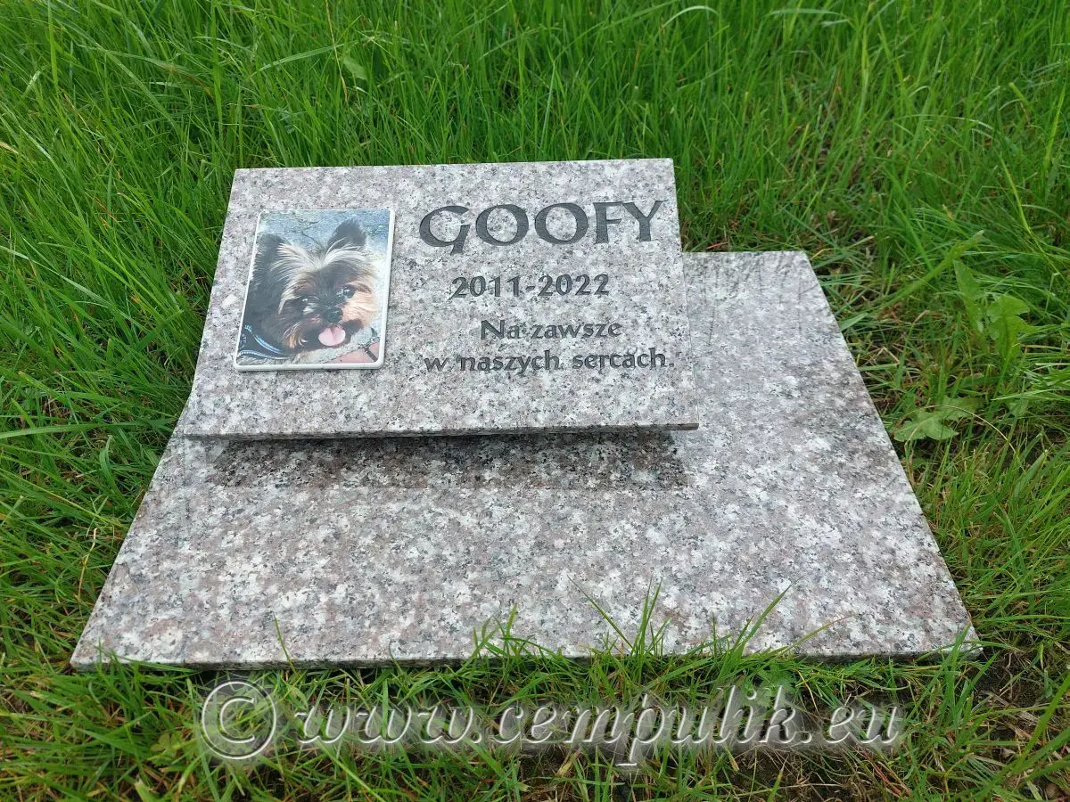 Tiergrabstein Creme-Granit - zdjęcie 6