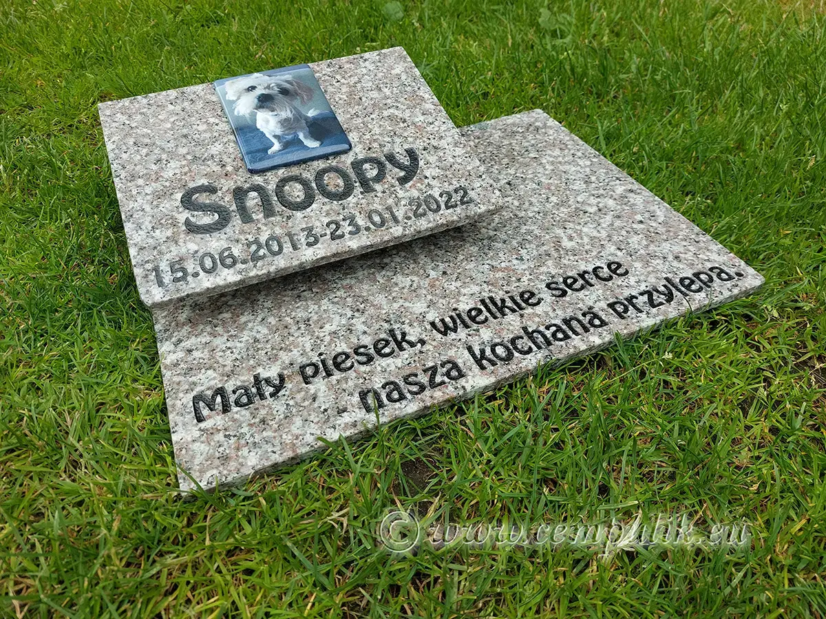 Tiergrabstein Creme-Granit - zdjęcie 4