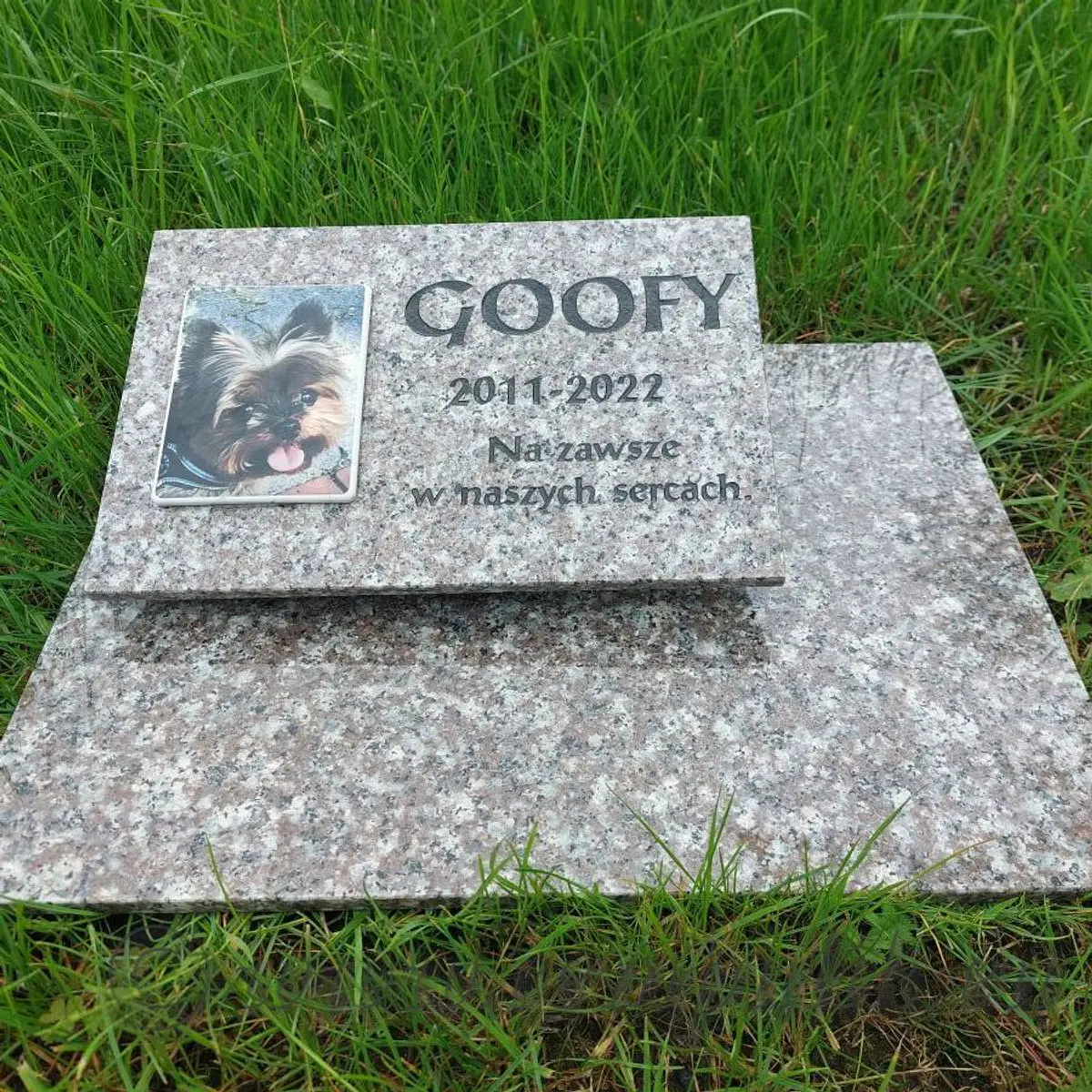 Kremowy Nagrobek dla Psa z Miejscem na Znicz — Ręczne Wykonanie (Granit L)