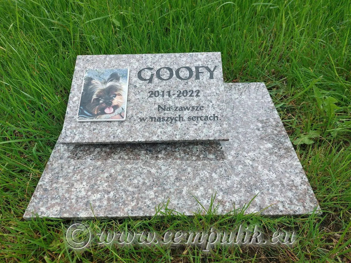 Tiergrabstein Creme-Granit - zdjęcie 2