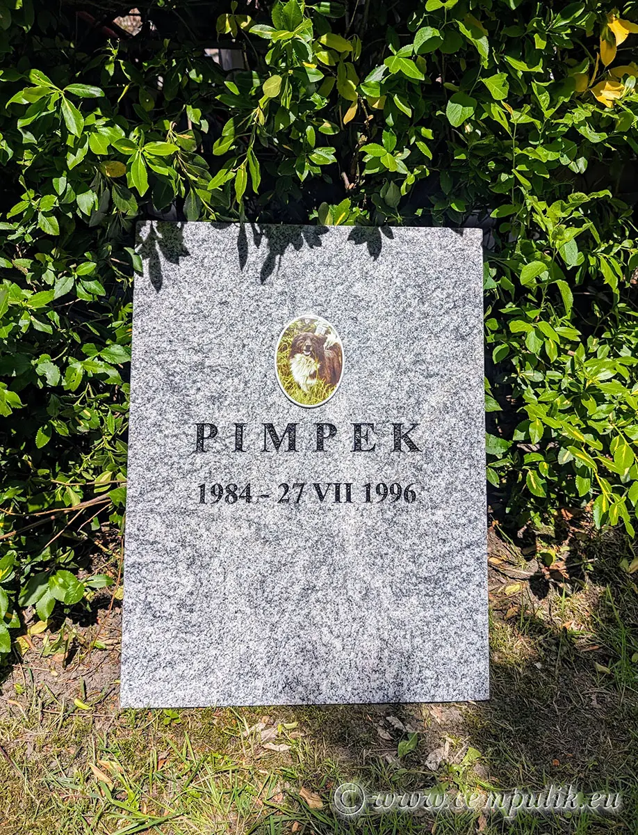 Tombstone on a Granite Slab for Pimpek