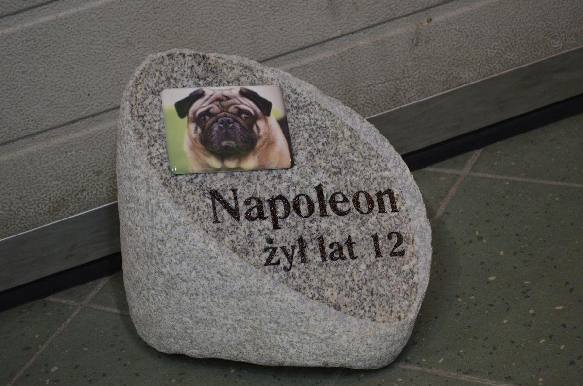 Napoleon – wspomnienie wyryte w kamieniu