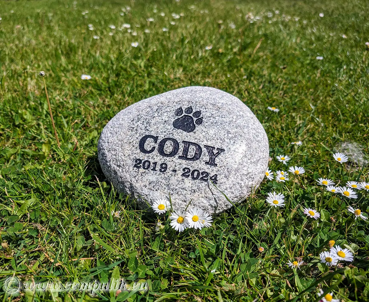 Granitowy głaz jako nagrobek dla psa Cody