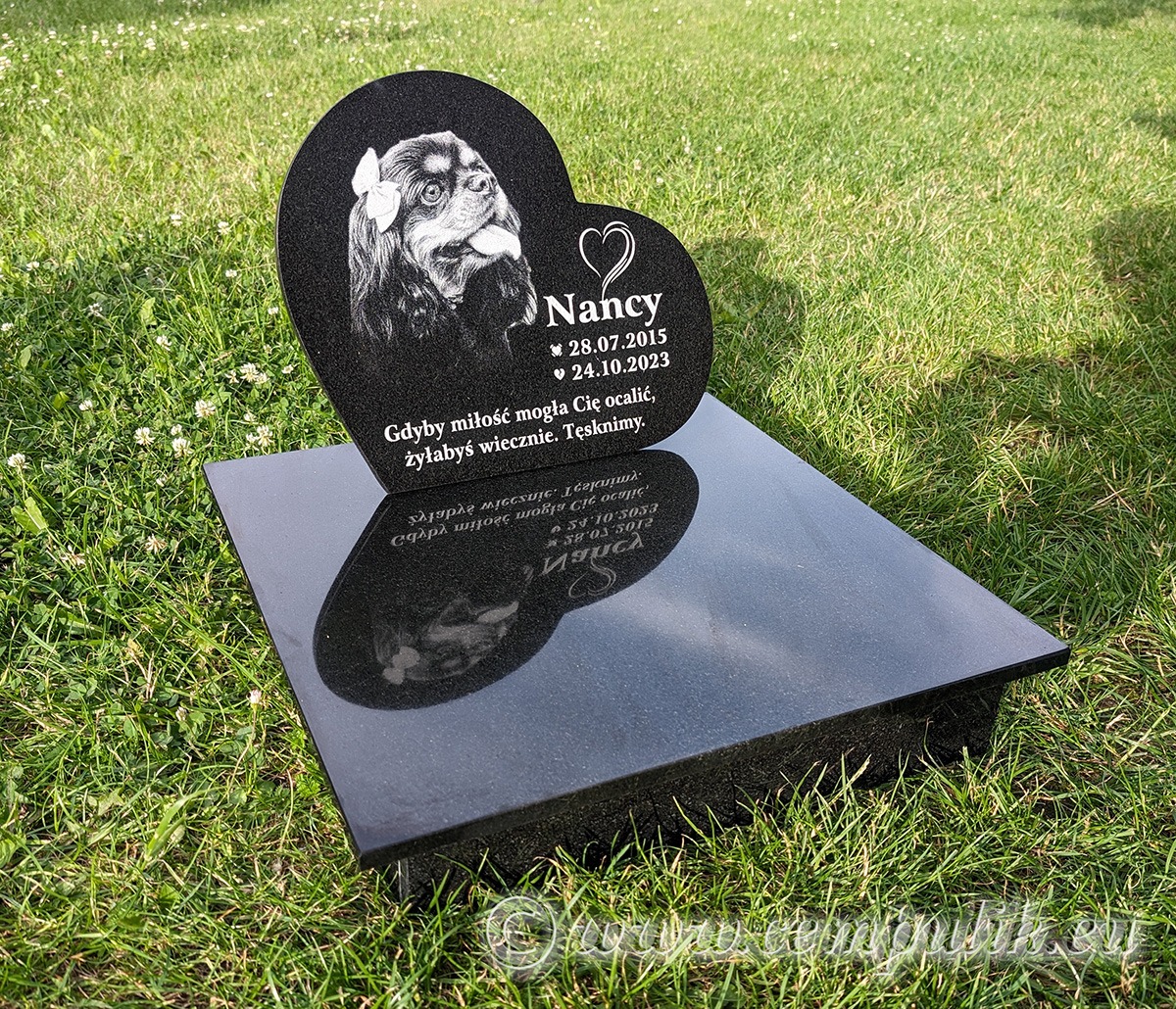 Cały nagrobek dla psa Nancy