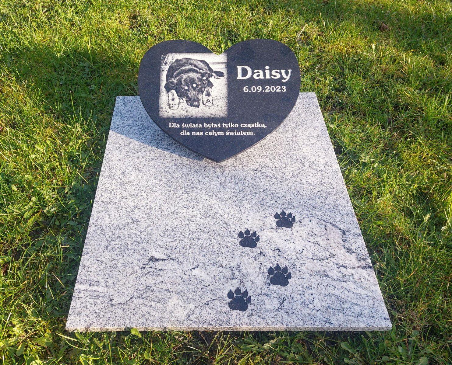 Daisy – więcej niż przyjaciel
