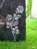 Zdjęcie na kamieniu róża