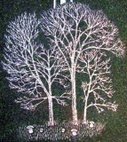 Drzewo z grzybami na marmurze