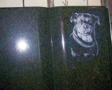 Zdjęcie psa na nagrobku