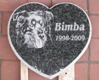 Wizerunek psa - Bimba