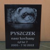 Zdjęcie na książce granitowej