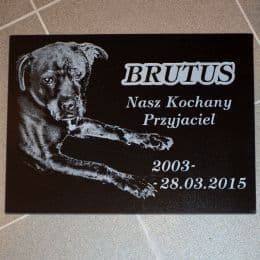 Pies Brutus - nagrobek