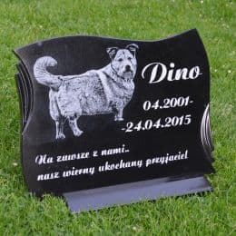 Pomnik dla psa Dino 