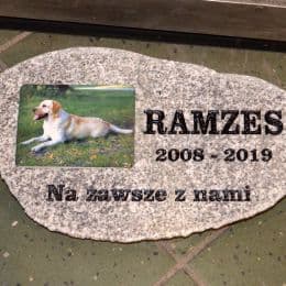 Pies Ramzes - pamiątkowy głaz ze zdjęciem kolorowym