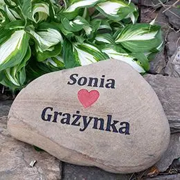 Pies Sonia