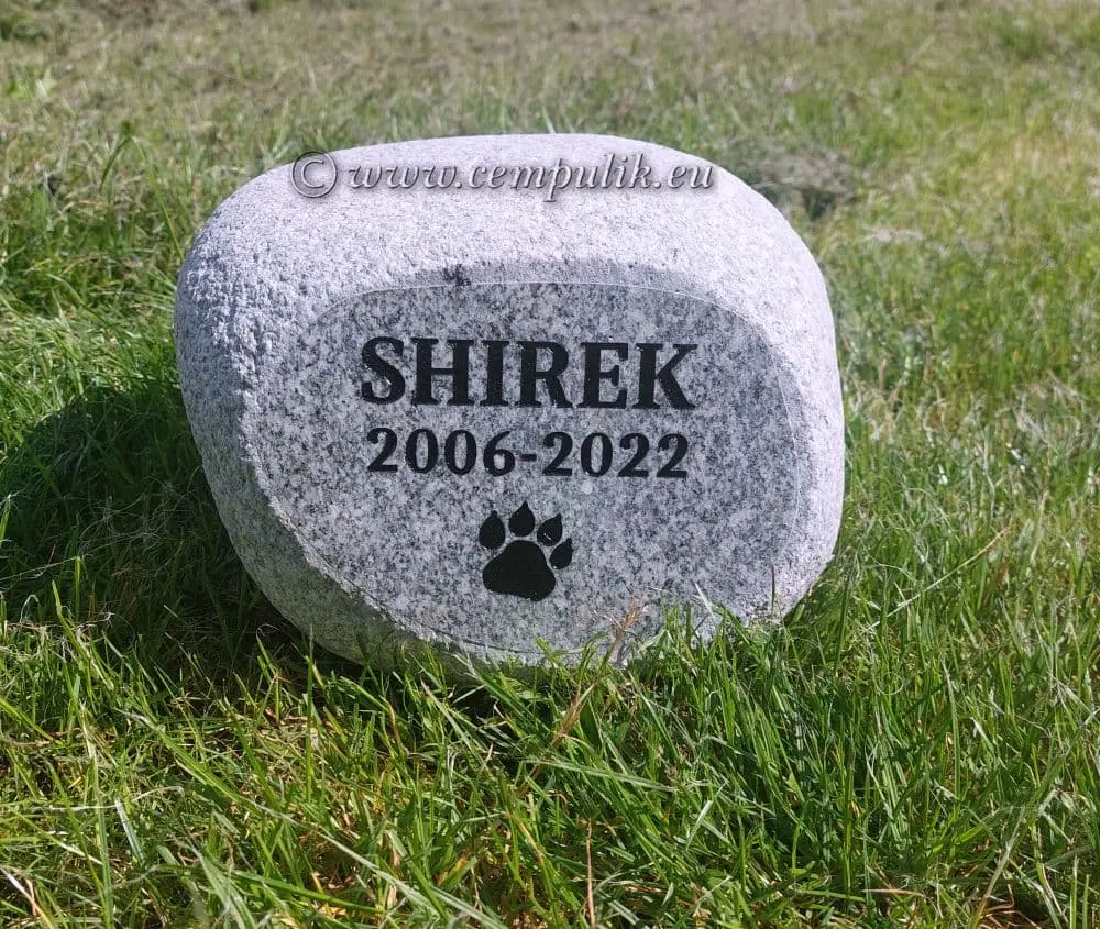 Pies shirek