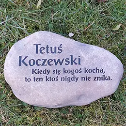 Pies Tutuś bezpośrednio na głazie